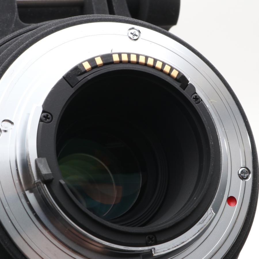 SIGMA 超望遠ズームレンズ APO 150-500mm F5-6.3 DG OS HSM シグマ用 フルサイズ対応 737566_4