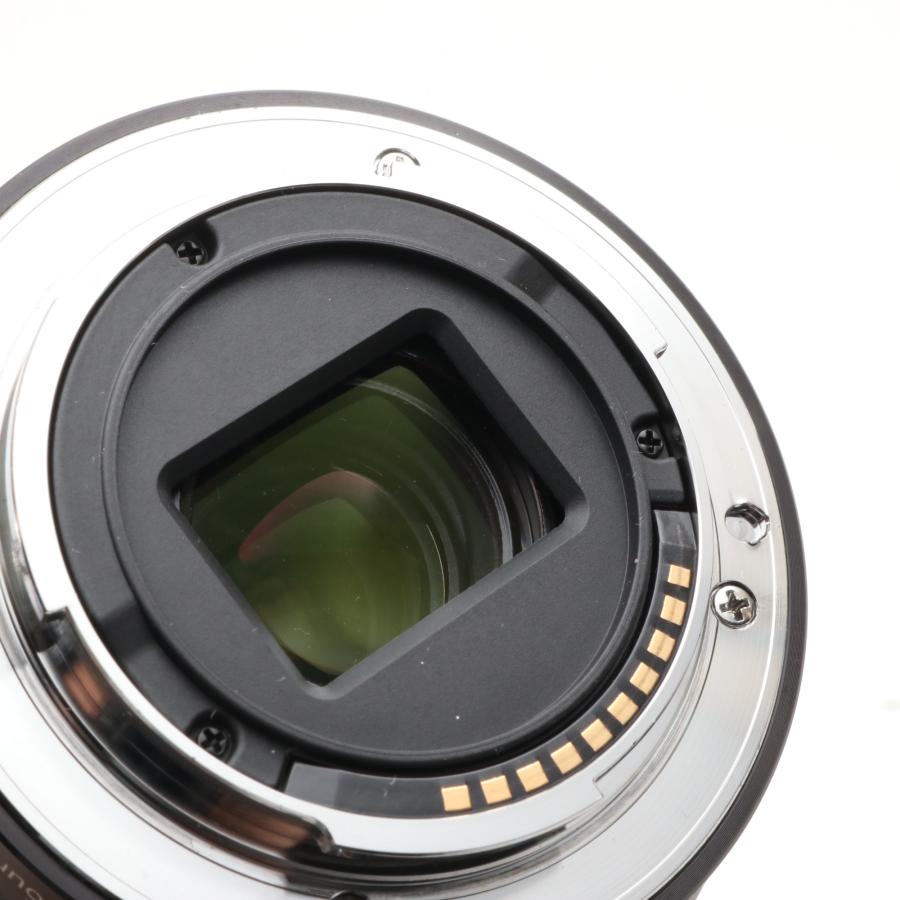ソニー SONY 高倍率ズームレンズ E 18-200mm F3.5-6.3 OSS LE E