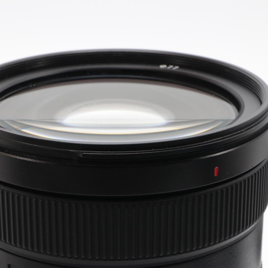 SONY FE 24-105mm F4 G OSS SEL24105G フルサイズ対応 〔SONY E