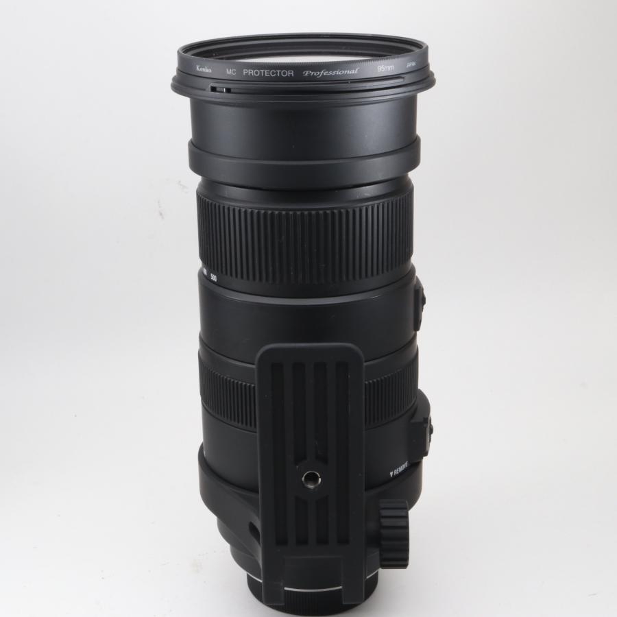 SIGMA 超望遠ズームレンズ APO 50-500mm F4.5-6.3 DG OS HSM