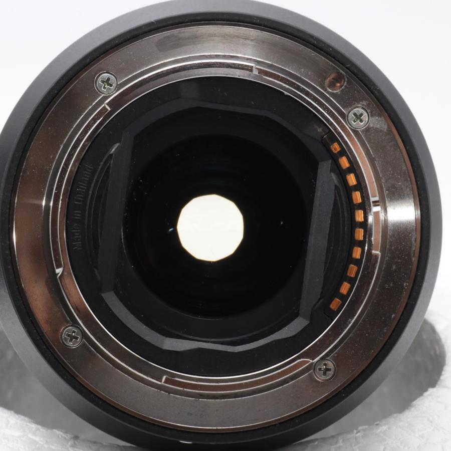 SONY FE 24mm F1.4 GM SEL24F14GM 〔SONY E マウント〕 : オンカメ