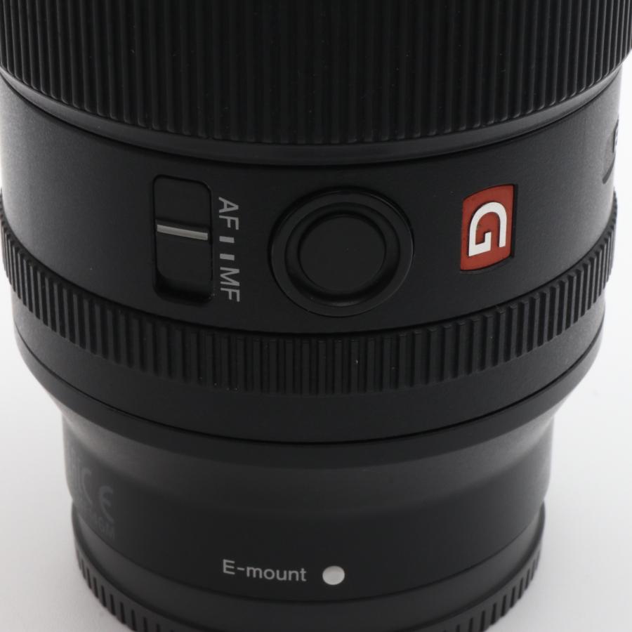 SONY FE 24mm F1.4 GM SEL24F14GM 〔SONY E マウント〕 : オンカメ