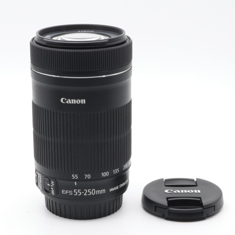 Canon EF-S 55-250mm F4-5.6 IS STM APS-C対応 〔キャノン EF マウント