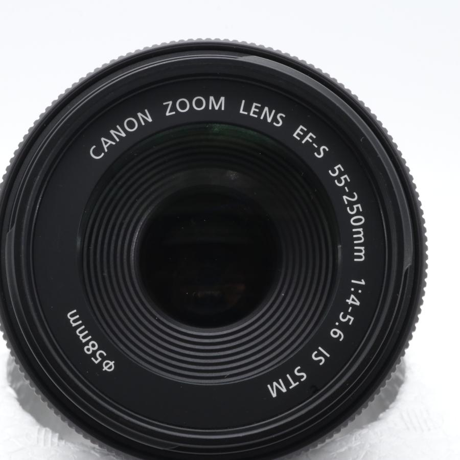 Canon EF-S 55-250mm F4-5.6 IS STM APS-C対応 〔キャノン EF マウント