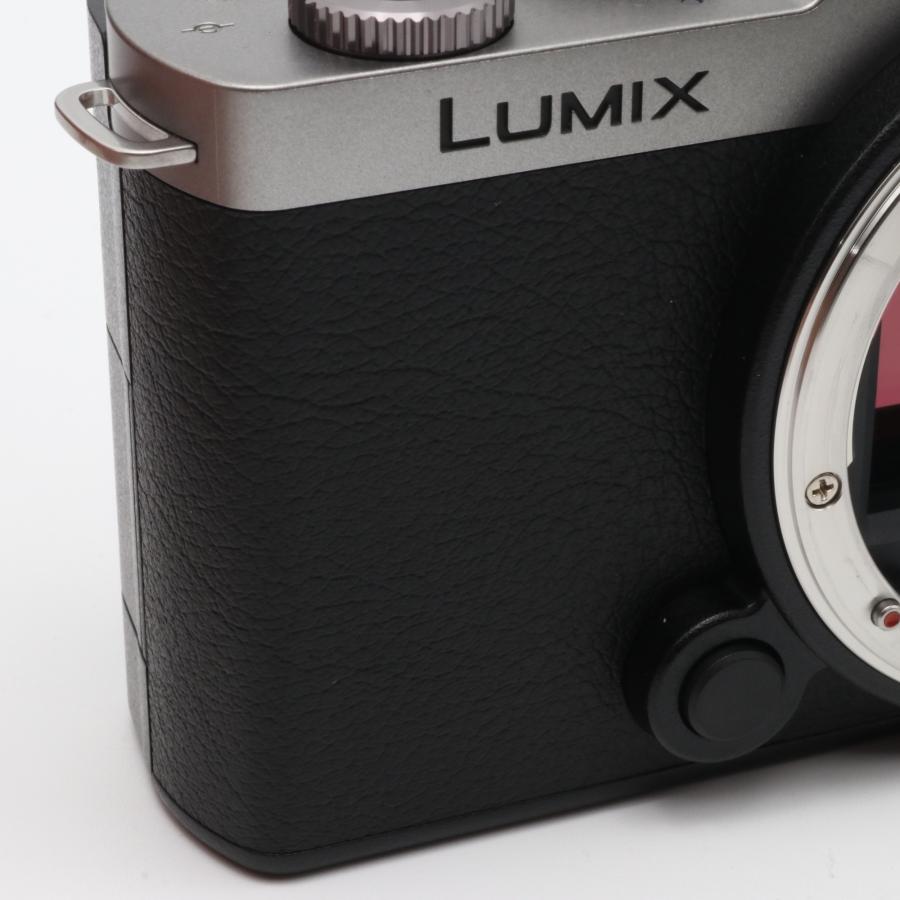 Panasonic LUMIX S9-S ボディ ダークシルバー フルサイズミラーレス