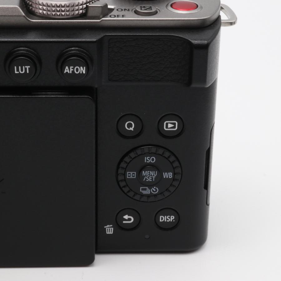 Panasonic LUMIX S9-S ボディ ダークシルバー フルサイズミラーレス