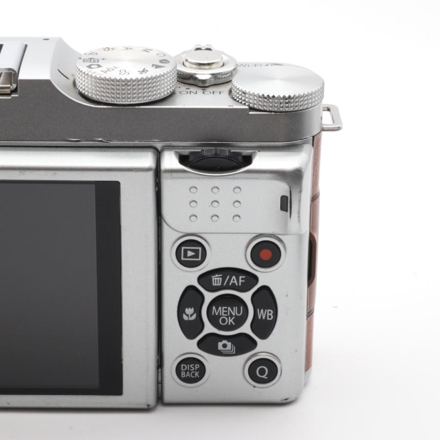 FUJIFILM ミラーレス一眼 X-M1 ボディ ブラウン F FX-X-M1BW
