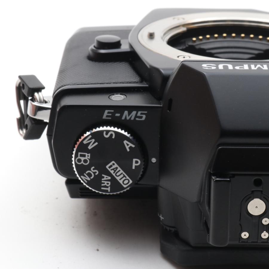 シャッター回数：1200】OLYMPUS ミラーレス一眼 OM-D E-M5 ボディ