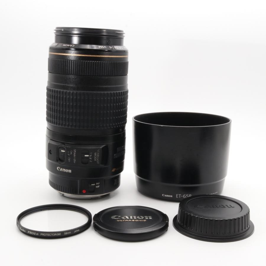 Canon EF70-300mm F4-5.6 IS USM フルサイズ対応 〔キヤノン EF