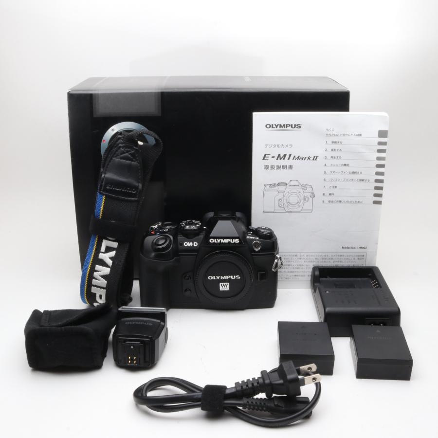 Olympus 一眼レフカメラ フラッシュ付き OM-1 【公式通販】
