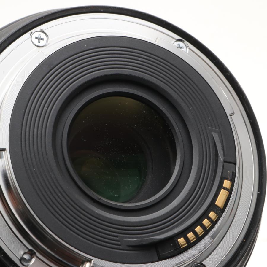 Canon 標準ズームレンズ EF24-70mm F4 L IS USM フルサイズ対応
