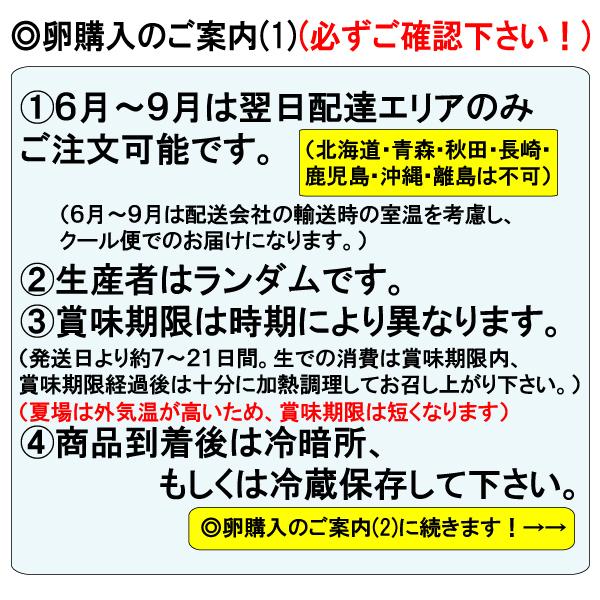 卵 Mサイズ 10kg 約157-172個 業務用 送料無料 夏季クール便｜tomoda｜02