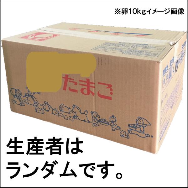 卵です 卵 MSサイズ 10kg 約173-192個 業務用 送料無料 夏季クール便 : お酒