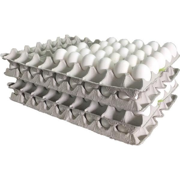 爆買 卵 MSサイズ 10kg 約173-192個 業務用 送料無料 夏季クール