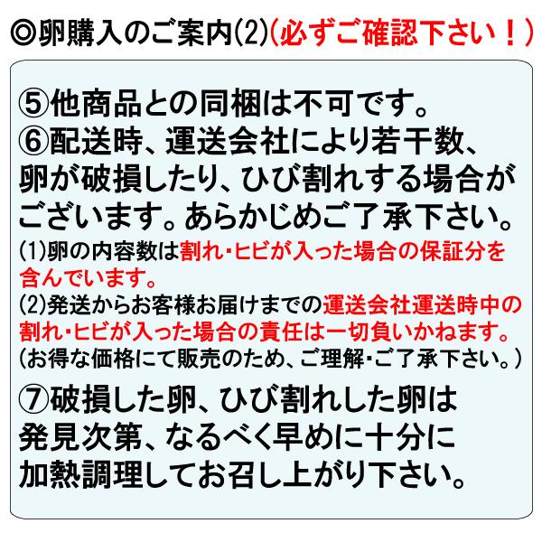 訳あり品 卵 サイズ指定不可 10kg 業務用 送料無料 夏季クール便｜tomoda｜03