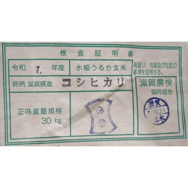 コシヒカリ 米 30kg 令和7年 送料無料 滋賀県 有機コシヒカリ 2等玄米