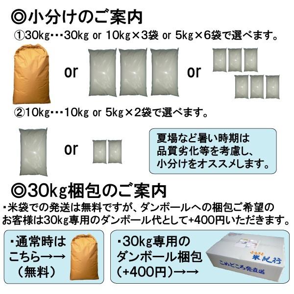 米 30kg 送料無料 佐賀県 さがびより 1等玄米 クーポンで500円引き｜tomoda｜03