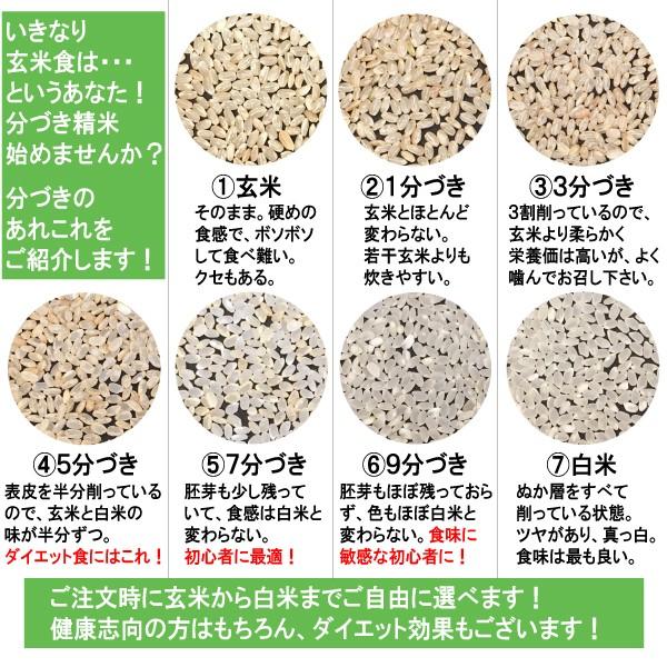米 10kg 送料無料 滋賀県東近江市 特別栽培米 コシヒカリ 1等玄米 クーポンでさらにお得｜tomoda｜02