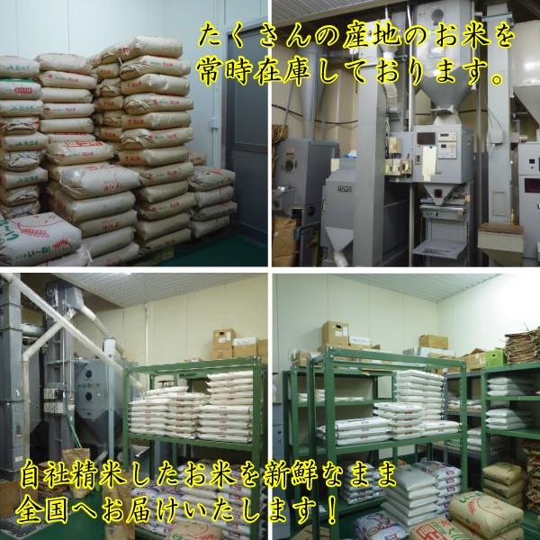 コシヒカリ 米 10kg 令和7年 送料無料 滋賀県 2等玄米 : お酒・お米