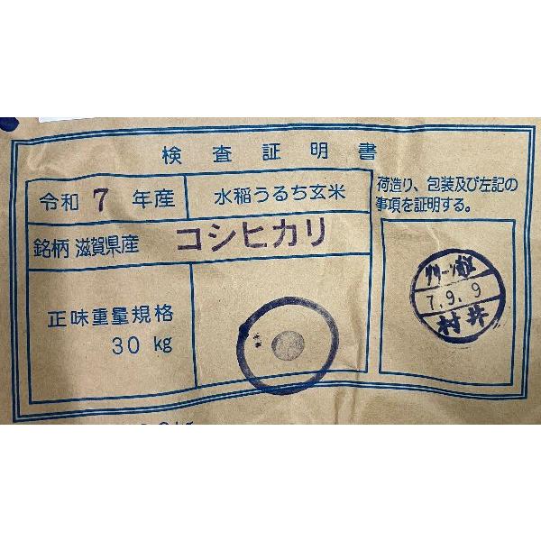 コシヒカリ 爆買 新米 10kg 令和7年 送料無料 滋賀県東近江市 特別栽培