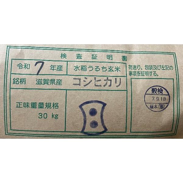 食品 Gummi Bear様 専用 令和7年 滋賀県産 コシヒカリ 玄米