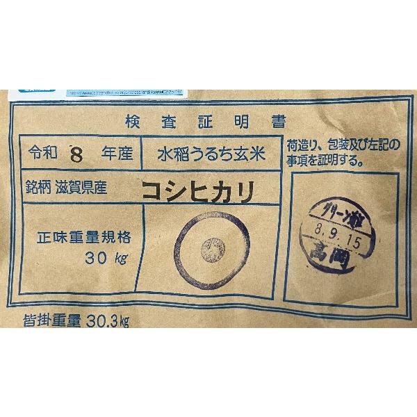 コシヒカリ 新米 10kg 令和8年 送料無料 滋賀県 1等玄米 : お酒・お米