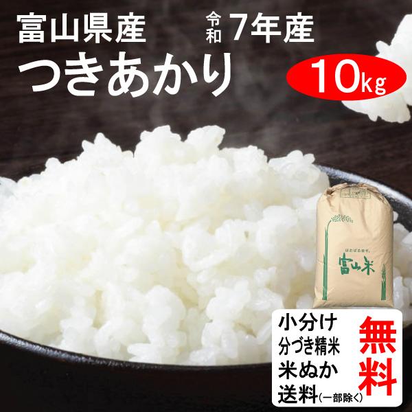 米 10kg 令和7年 送料無料 富山県 つきあかり 2等玄米 : お酒・お米