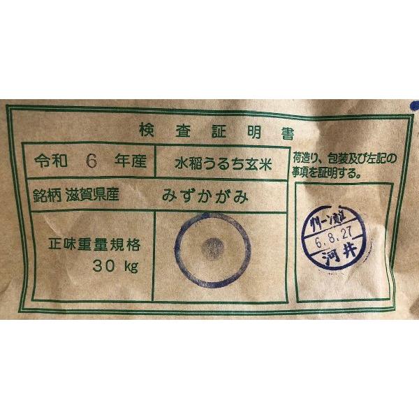 米 10kg 令和7年 送料無料 滋賀県 特別栽培米 みずかがみ 1等玄米 : お