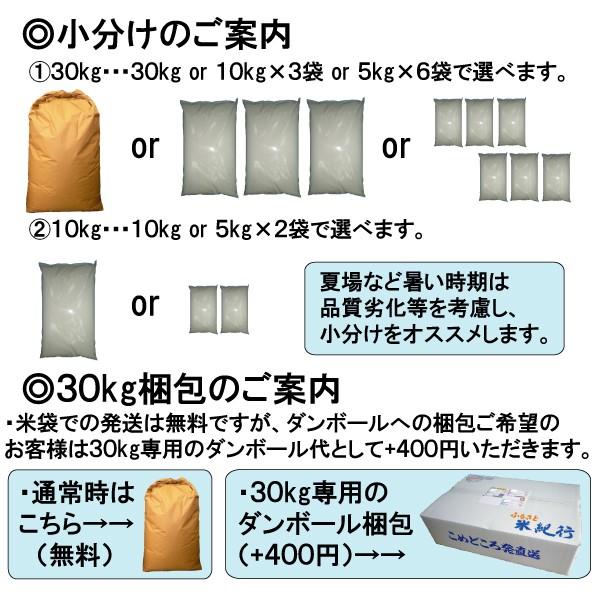 コシヒカリ 爆買 米 10kg 令和7年 送料無料 富山県中新川郡立山町 1等