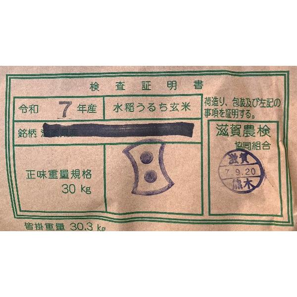 米 10kg 令和7年 送料無料 滋賀県近江八幡市 特別栽培米 イセヒカリ 2