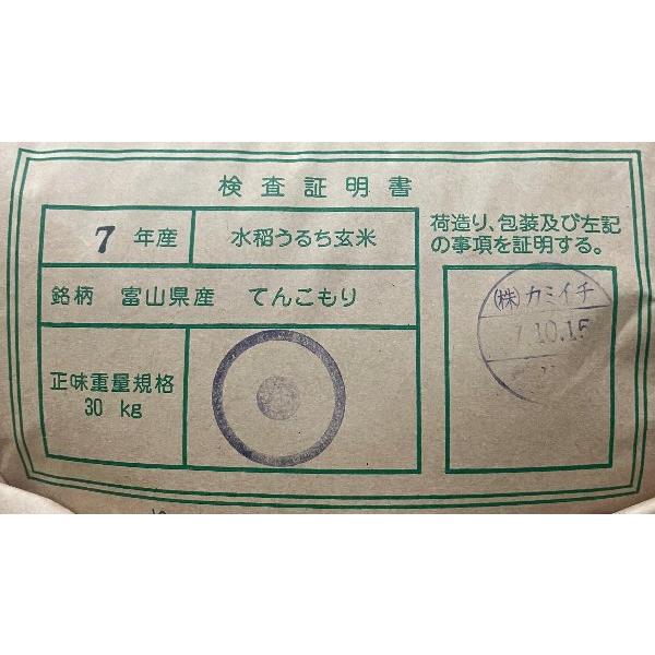爆買 新米 30kg 令和7年 送料無料 富山県 てんこもり 1等玄米 : お酒