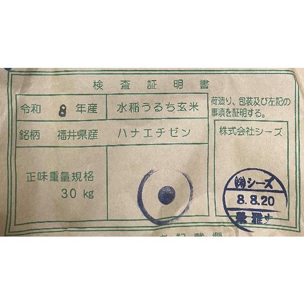 ハナエチゼン 新米 10kg 令和8年 送料無料 福井県 華越前 華越前 1等