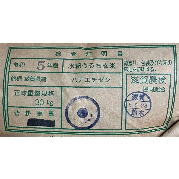 米 5kg 滋賀県 華越前 ハナエチゼン 華越前 1等玄米｜tomoda｜06