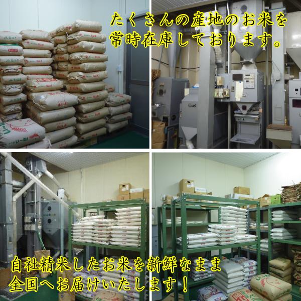 新米 30kg 送料無料 佐賀県 特別栽培米 七夕コシヒカリ 1等玄米 クーポンで500円引き 