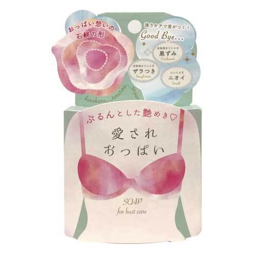 【単品14個セット】 愛されおっぱい 70g ボディケア スキンケア 角質ケア【送料無料】 ペリカン石鹸 愛されおっぱい 70g : Tomods&AMERICAN PHARMACY - 通販