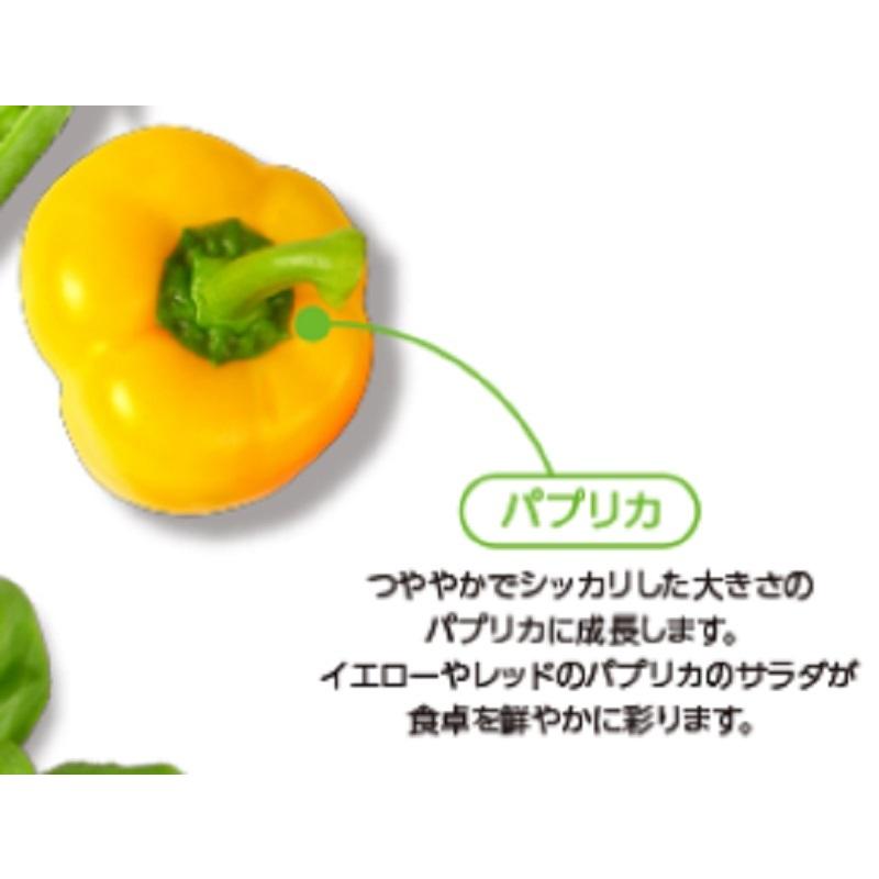 水耕栽培 浮かせてキット 新鮮な完熟野菜を収穫 家庭菜園キット 初心者 ビギナー トマト手軽に菜園生活 農業 ブラック gurin トモエの木彫仏像 通販 Yahoo ショッピング