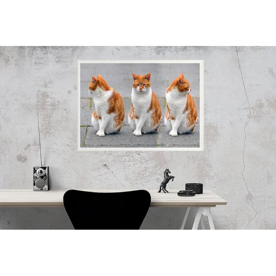 お部屋のインテリアに最適！フレーム付★インパクト大★暗闇で光る和彫猫★A2サイズ フレーム付-白-】インテリアポスター 猫 ネコ 可愛いニャンコ A2サイズ