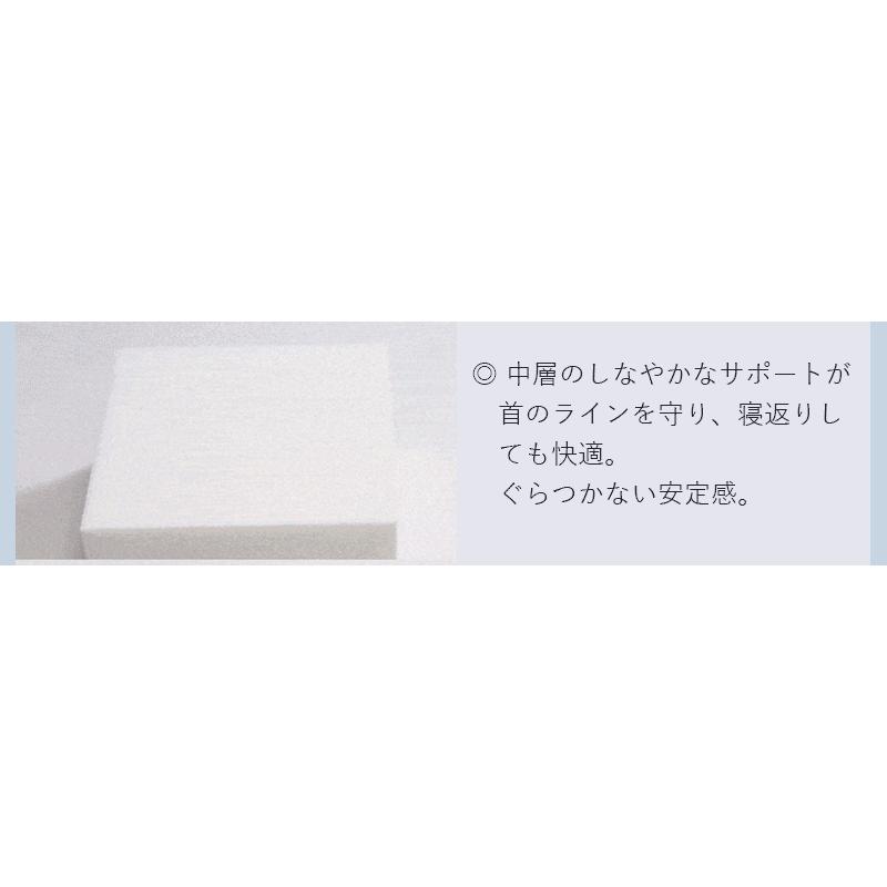 理学療法士推薦 枕 低反発枕 三層構造 体圧分散 まくら 快適睡眠 快眠まくら 通気カバー 仰向け・横向き対応 うつ伏せ対応 フィット  肩こり対策 安眠 DSM3 |  | 10