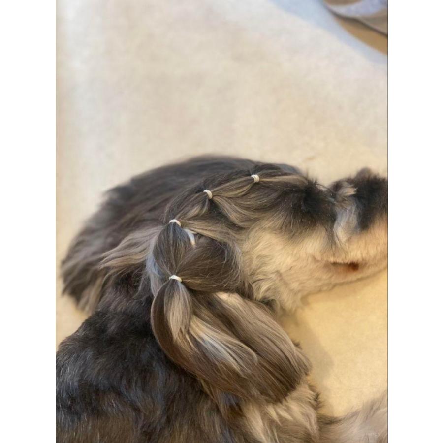 ワンちゃんの絡まない ヘアゴム 5グラム 激安価格 ペットサロンでも