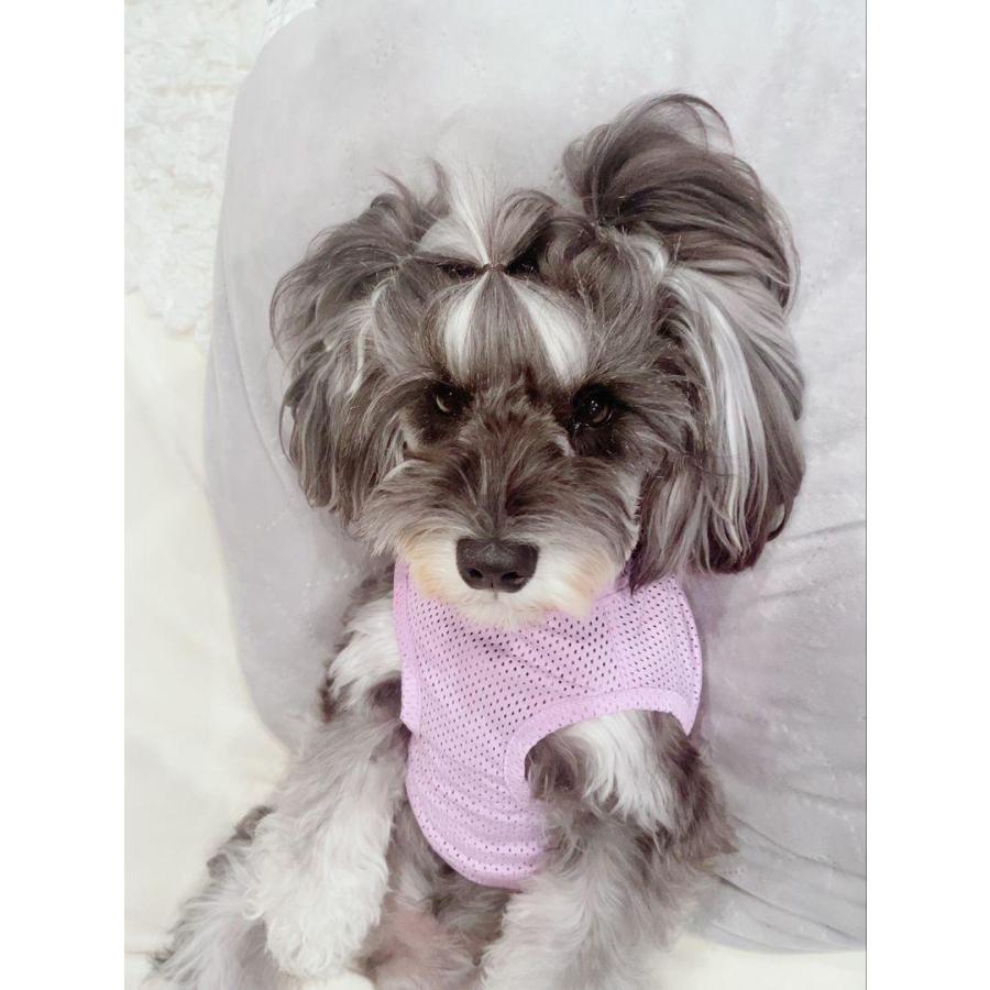 ワンちゃんの絡まない ヘアゴム 5グラム 激安価格 ペットサロンでも