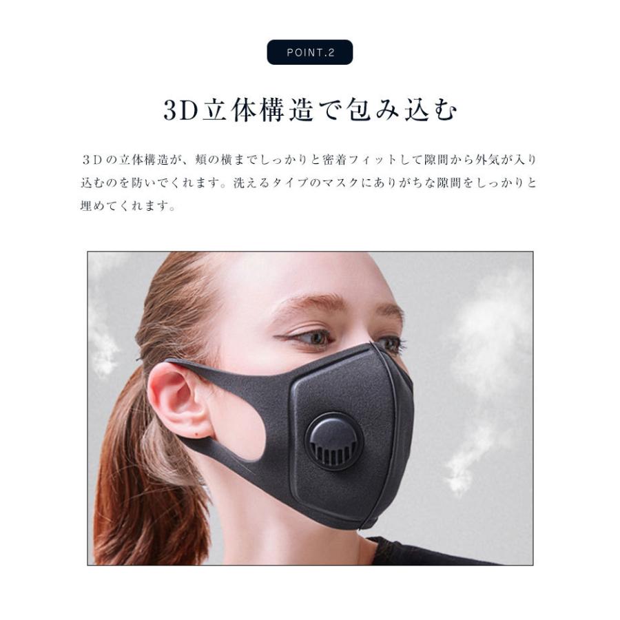 マスク 換気口付き 洗える 2枚セット　埃防止フィルター付き　業務　出かけ用　大人用