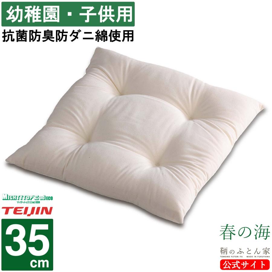 座布団 中身 洗える 日本製 35cm 1枚 テイジン 抗菌 防臭 防ダニ 綿