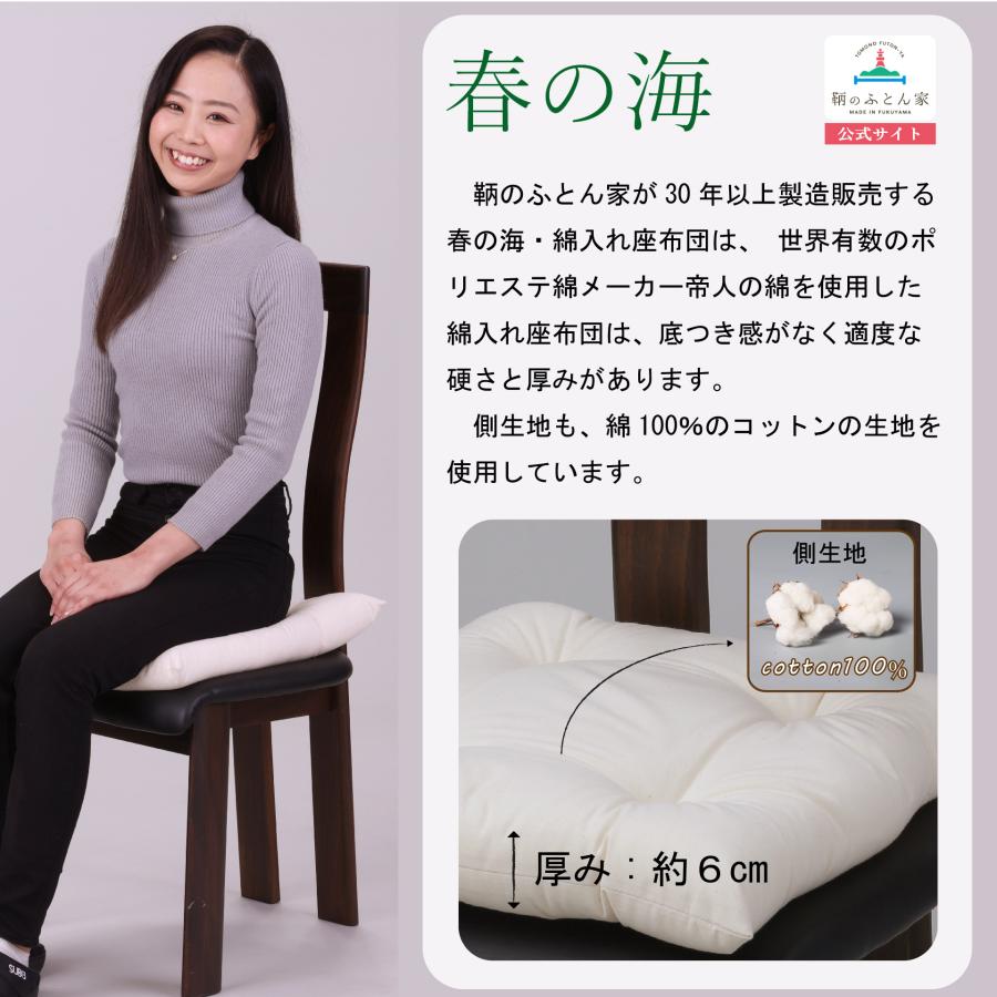 座布団 中身 洗える 日本製 45cm 1枚 テイジン 抗菌 防臭 防ダニ 綿