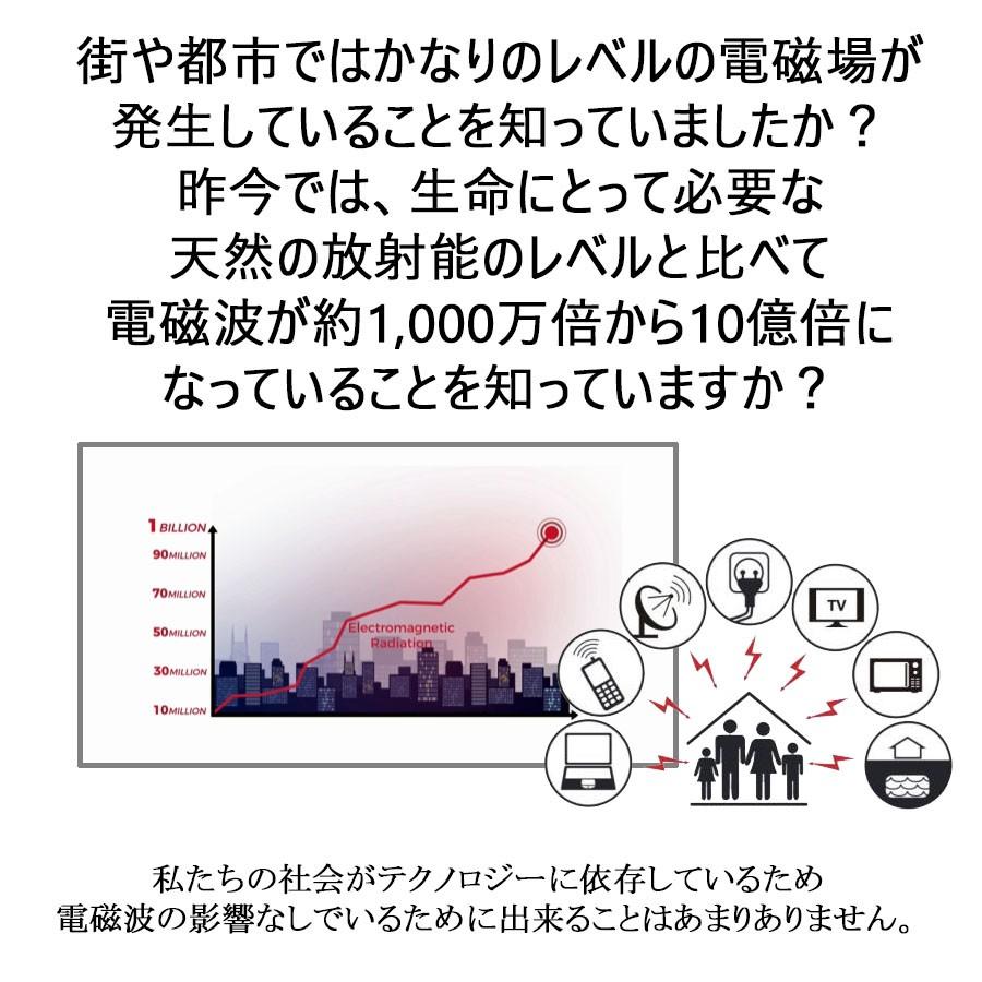 ソマヴェディック パワーブラック ポータブルボタン 持ち歩き