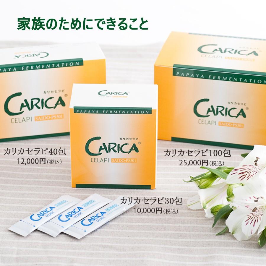 カリカセラピ40包 送料無料 パパイア発酵食品 カリカセラピ株式会社 