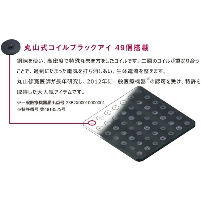 ブラックアイパッド極 丸山修寛 電磁波対策 マウスパッド : 友の屋