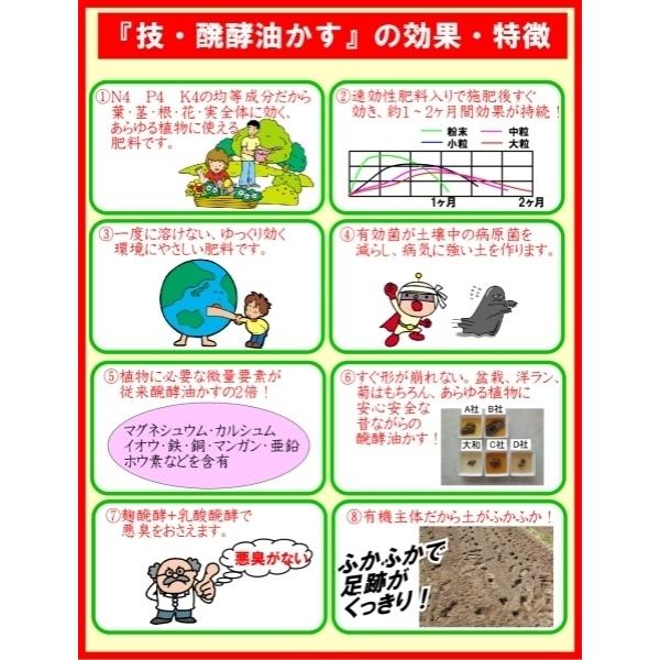 大和 技 醗酵油かす 小粒 2kg マグネシウム入り 肥料 元肥 追肥 お礼肥 寒肥 油粕 Tomorrow Life ヤフー店 通販 Yahoo ショッピング