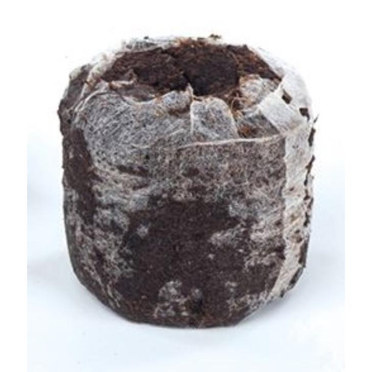 サカタのタネ（サカタノタネ） ジフィーセブン 土ポット 30mm 48個入