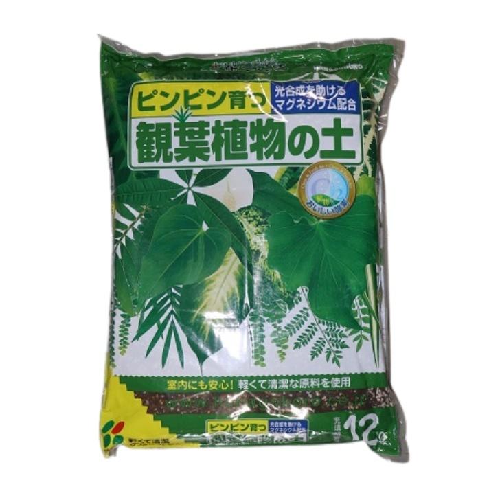 花ごころ 観葉植物の土 12L 培養土 観葉植物 マグネシウム配合 土 用土 :4977445108300:Tomorrow Life ヤフー店 - 通販 - Yahoo!ショッピング 花ごころ 観葉植物の土 12L 培養土 観葉植物 マグネシウム配合 土 用土 :4977445108300:Tomorrow Life ヤフー店 - 通販 - Yahoo!ショッピング