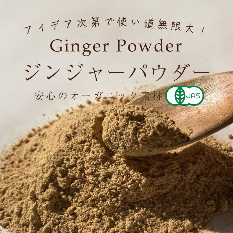 オーガニック ジンジャー パウダー 生姜 生姜パウダー ジンジャー